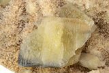 Massive, Calcite Crystal Formation ( lbs) - Morocco #137469-5